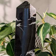 Black Moss Agate Crystal Tower