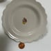 Grasslands Road small plate with dome cover