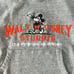 Walt Disney Studios Hoodie Youth Sz 8/10