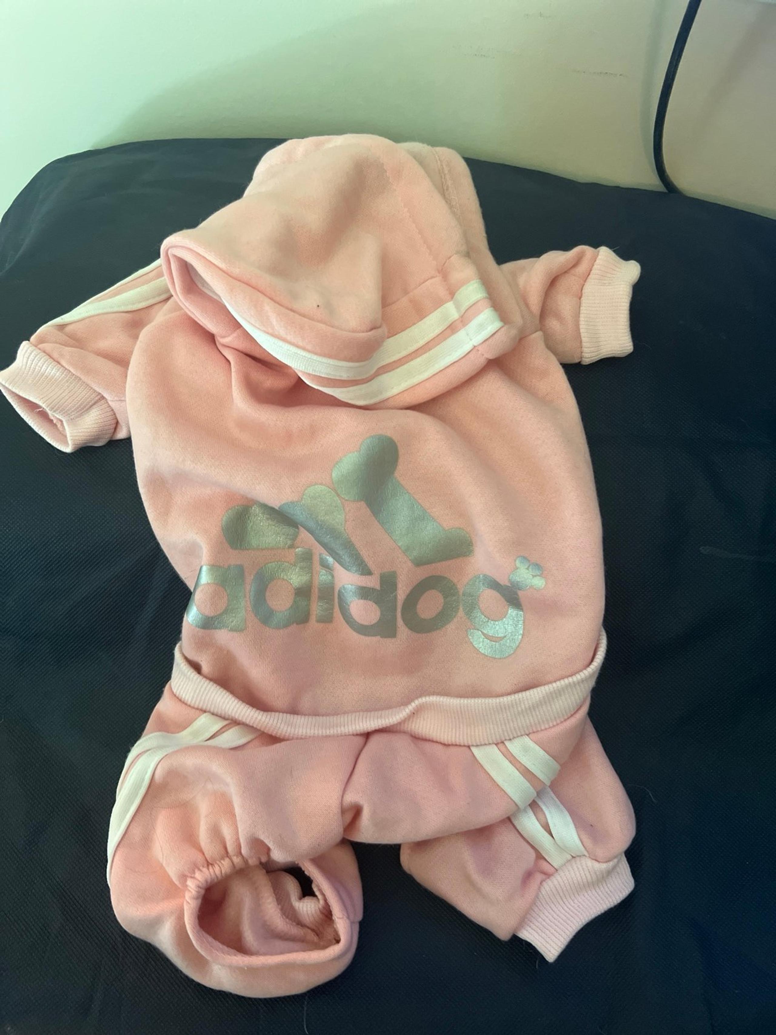 Adidog Tracksuit
