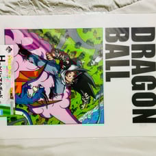 Dragon Ball Bandai Acrylic Poster
