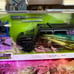 Jada 1:24 Just Trucks 1953 Chevy Pickup Truck w/ extra Wheels 30521 Dark Green