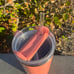 Stanley X ELF Limited Edition Coral Fixation 40oz Tumbler