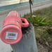 Stanley X ELF Limited Edition Coral Fixation 40oz Tumbler