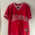 Mike Trout Large Jersey