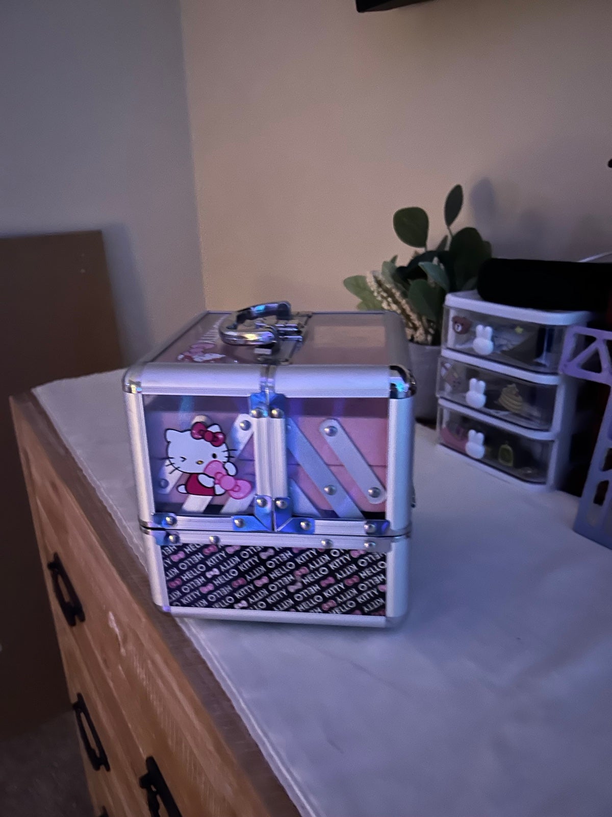 Hello Kitty makeup case