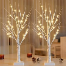 2-Pack 2FT Lighted Birch Tree for Home Decor with Timer Thanksgiving Christmas