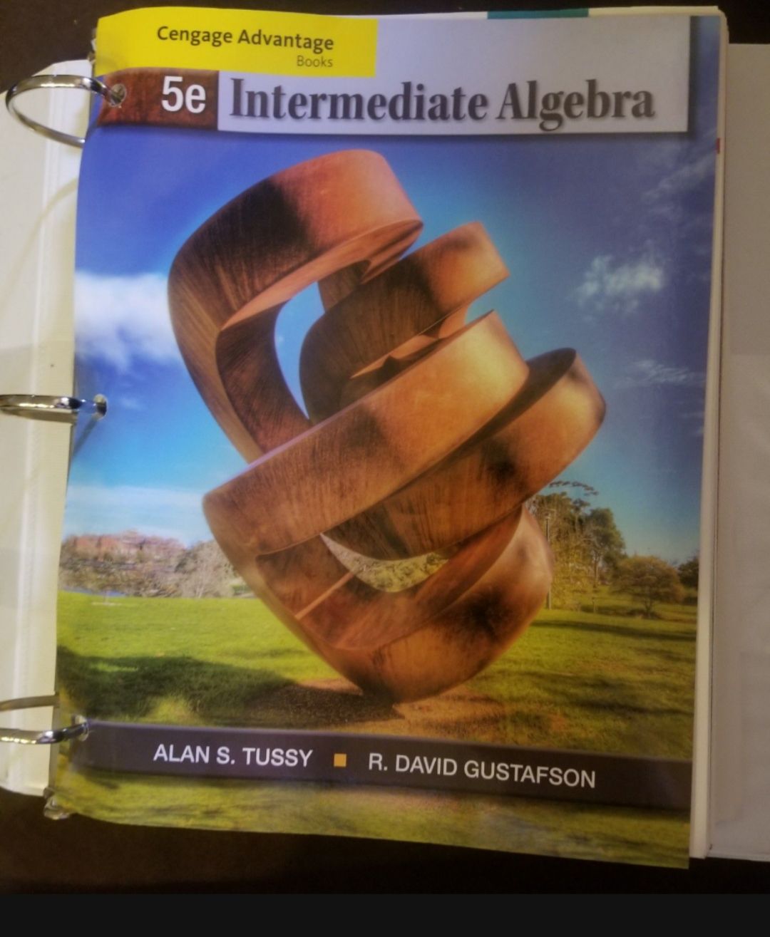 Intermediate algebra Alan tussy
