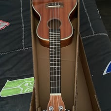 Kala gloss mahogany concert ukulele with equalizer