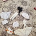 Madame Alexander Undergarments Lot