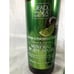 Set of Dead Sea Collection Mineral Body for Different Needs at Different Times