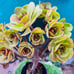 Rare Holding Aeonium golden color Variety / live rooted