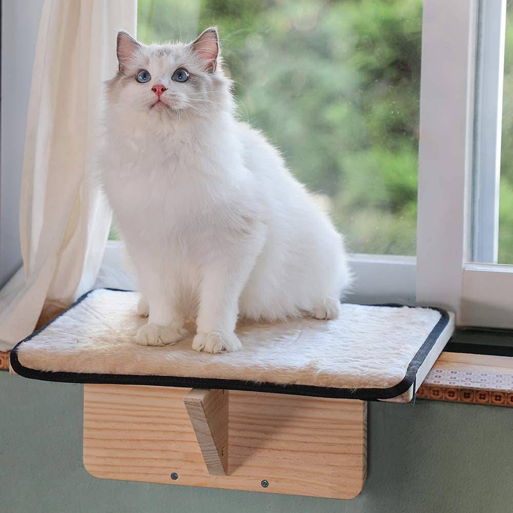 Window Pet Ledge