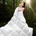 King Goose Feather Down Comforter