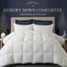 King Goose Feather Down Comforter