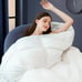 King Goose Feather Down Comforter