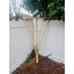 6' Handmade Indoor/Outdoor Fan Trellis