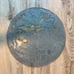 Polyphon Music Disc Vintage lot of 5