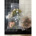 Lot of 40 Scrapbook Card Making Flowers Prima 49 & Market Petaloo NIP
