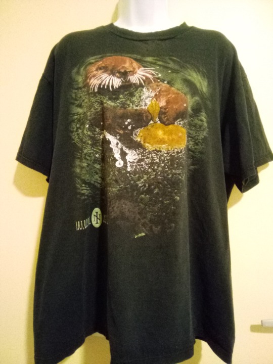 Vintage 1990s Natural Instinct River Otter Jerzees S/S Graphic Tee