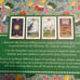 Gypsy fortunes book and cards