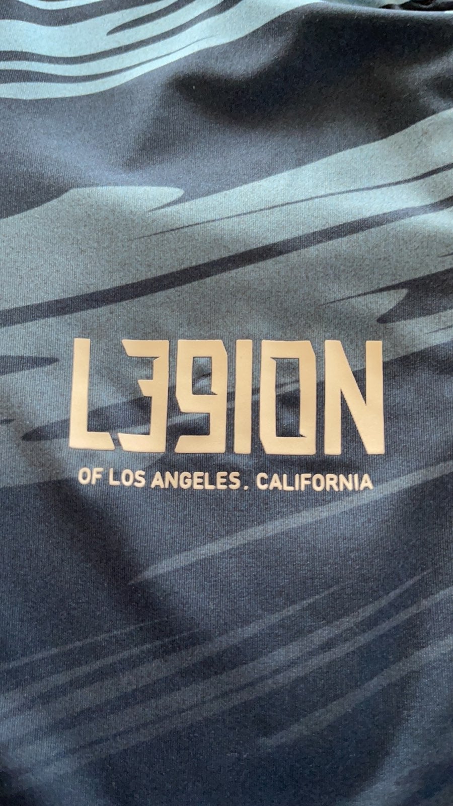 Rapha L39ion of LA jersey