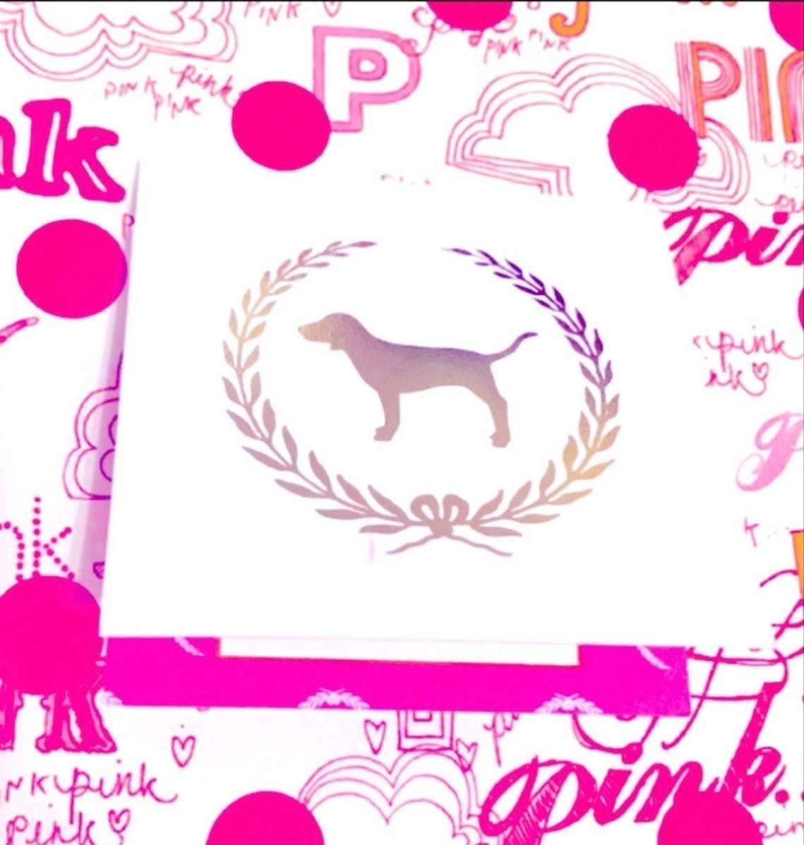 NEW VS PINK GIFT CARD HOLDER RARE/HTF