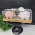 RAE DUNN PIG SALT AND PEPPER SHAKERS