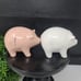 RAE DUNN PIG SALT AND PEPPER SHAKERS