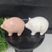 RAE DUNN PIG SALT AND PEPPER SHAKERS
