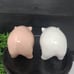 RAE DUNN PIG SALT AND PEPPER SHAKERS