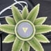 Aloe Vera Scentsy Warmer