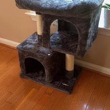 Cat Condo for Medium