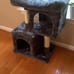 Cat Condo for Medium