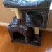 Cat Condo for Medium