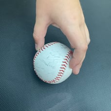 Singhed saltdogs baseball