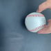 Singhed saltdogs baseball