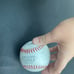 Singhed saltdogs baseball