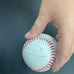 Singhed saltdogs baseball