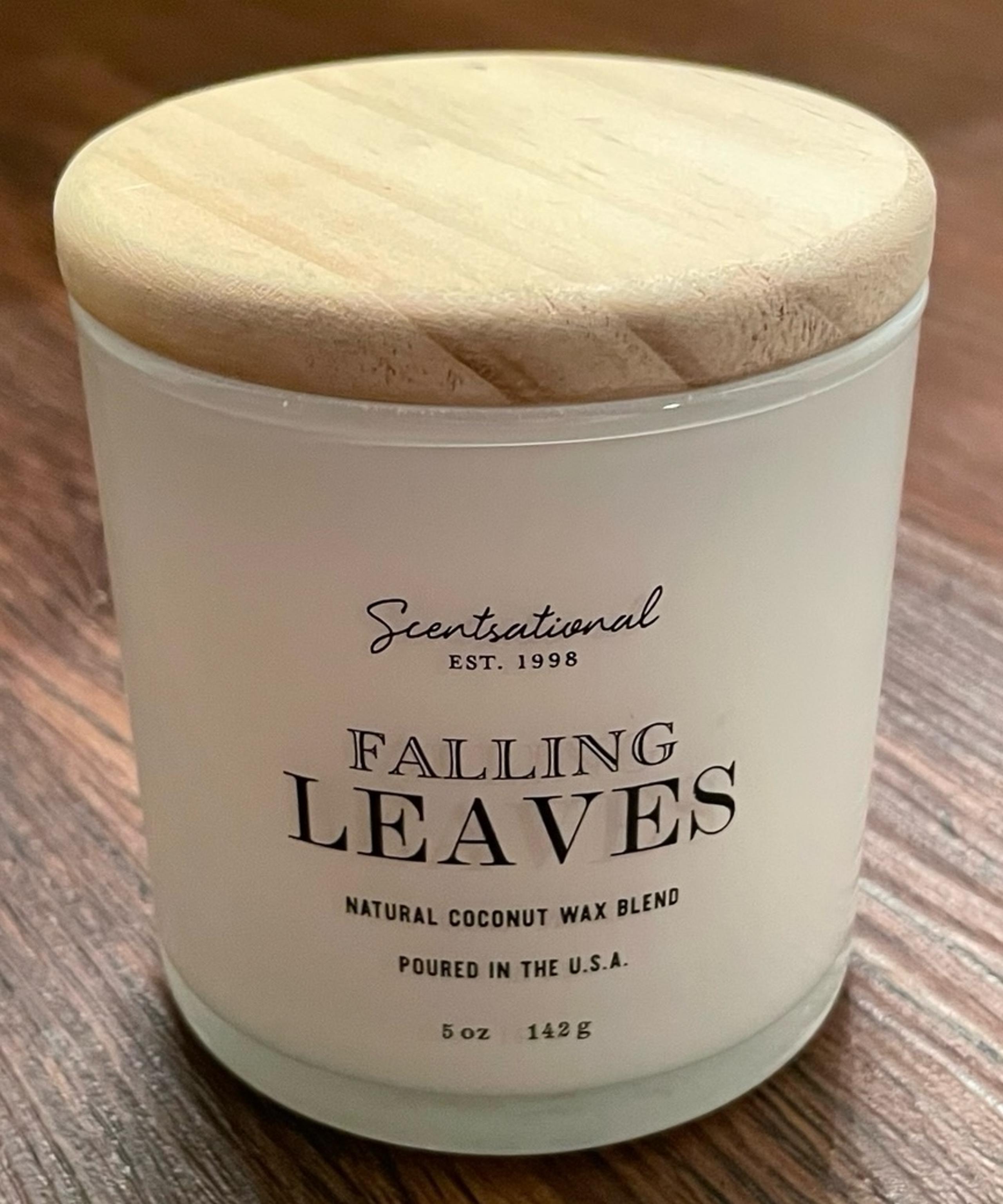 Falling Leaves Candle Coconut Wax Blend 5oz Made Poured In USA - SCENTSATIONAL