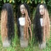 Knotty Long black honey blonde locs