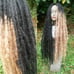 Knotty Long black honey blonde locs
