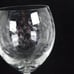 Set of 2 Pier 1 Eliza Crystal Water Goblet Etched Leaves 8 3/8 inches tall