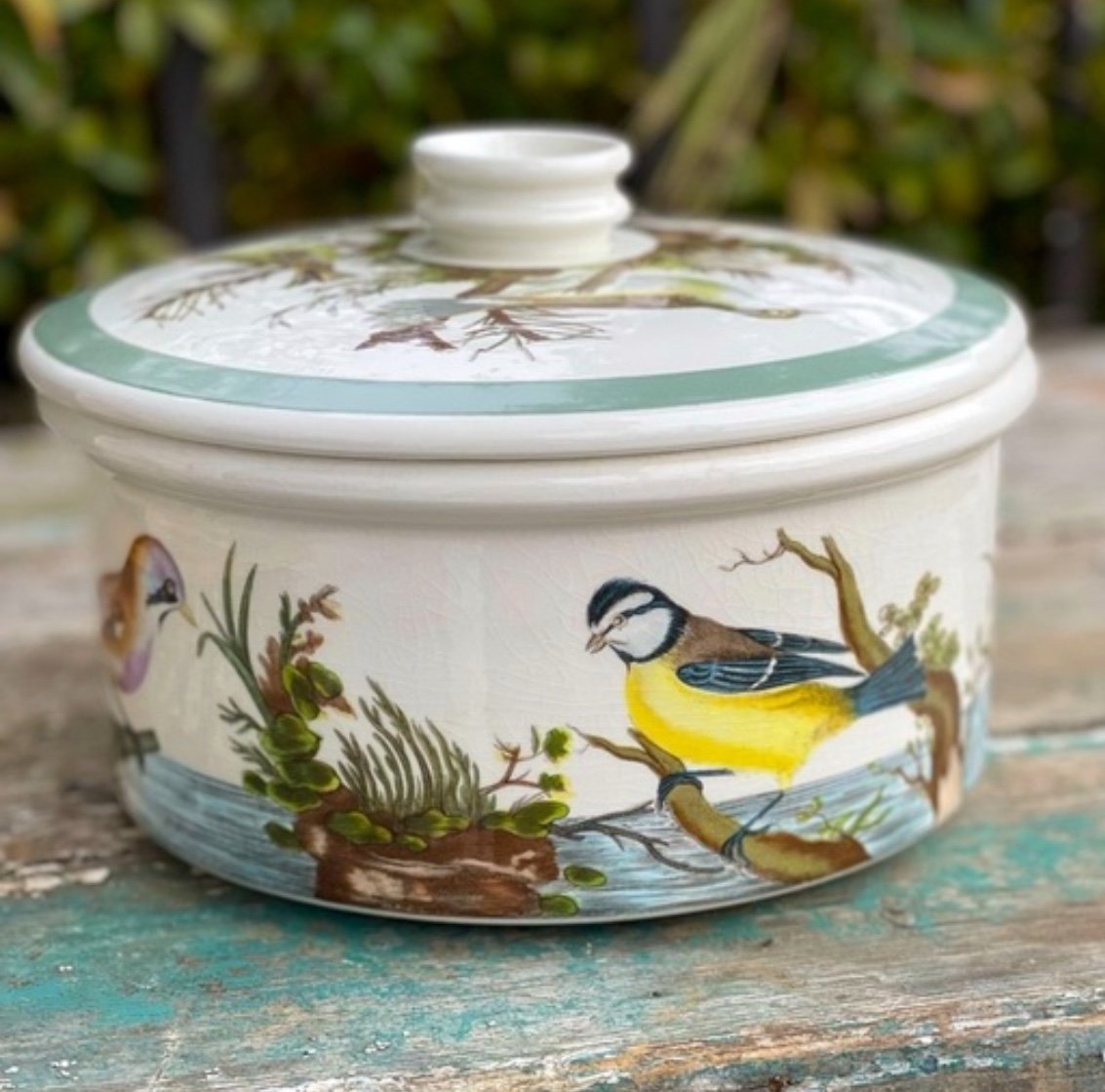 Portmeirion Vintage Rare Birds of Britain Casserole Dish