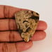 Palm Root Agate Fancy Shape Gemstone Cabochon-FPA-1-2