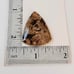 Palm Root Agate Fancy Shape Gemstone Cabochon-FPA-1-2