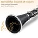 Glarry Black Clarinet 17 Keys Flat B with Two Mouthpiece Connecter