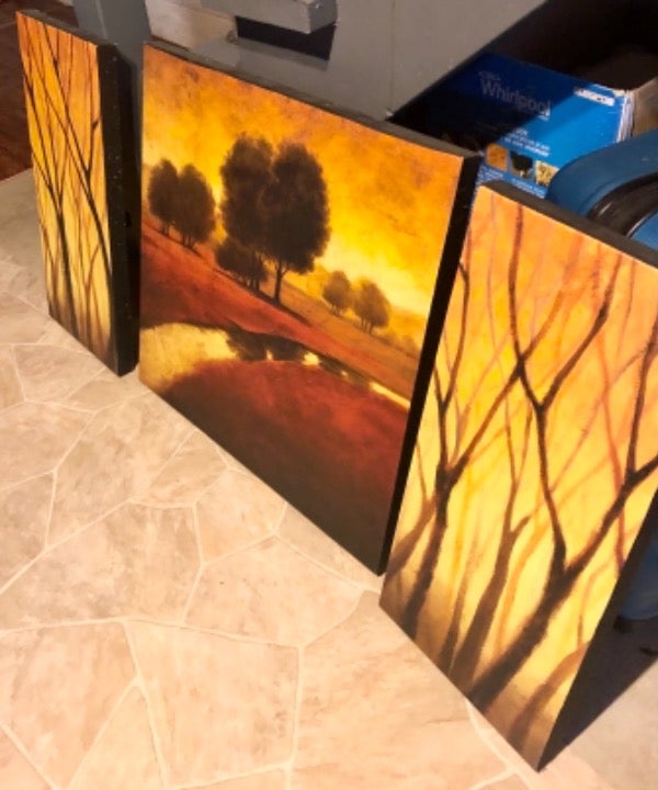 Set of 3 paintings