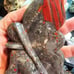 Beautiful African Bloodstone Fairy! FREE Shipping!