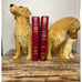 Sandicast Golden Retriever Bookends Hand-Cast Hand Painted NEW